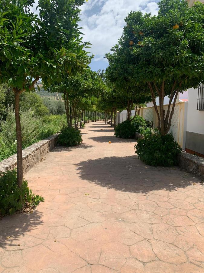 Apartamento En Cuevas Del Becerro Екстер'єр фото